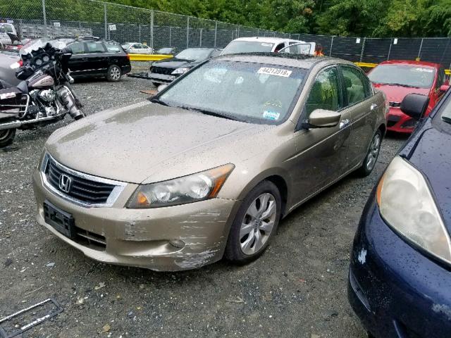 1HGCP36818A023530 - 2008 HONDA ACCORD EXL BEIGE photo 2