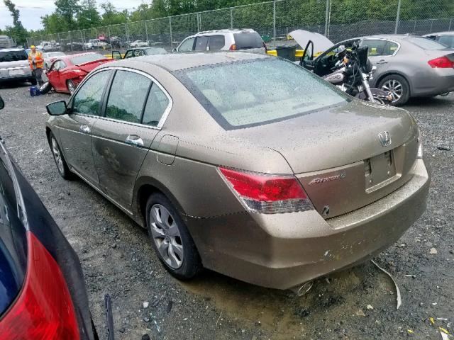 1HGCP36818A023530 - 2008 HONDA ACCORD EXL BEIGE photo 3