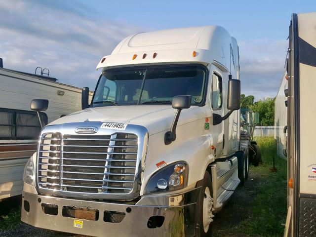 1FUJGLDR6DSBV1294 - 2013 FREIGHTLINER CASCADIA 1 Սպիտակ լուսանկար 2