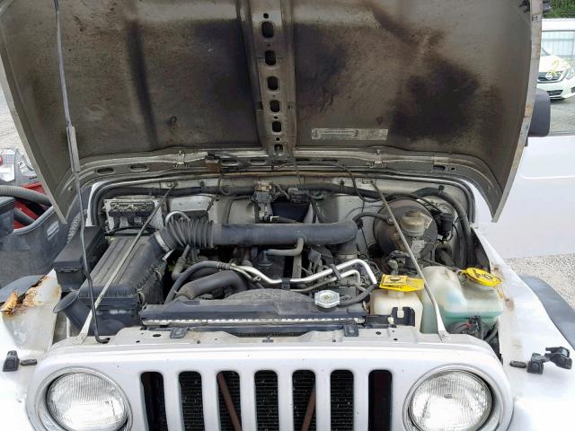 1J4FA69S53P358585 - 2003 JEEP WRANGLER / SILVER photo 7