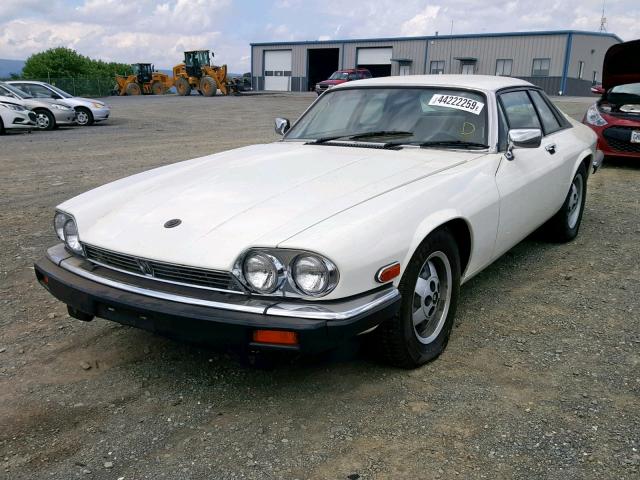 SAJNV5847GC133215 - 1986 JAGUAR XJS WHITE photo 2