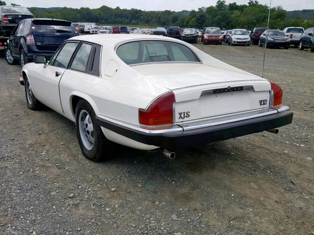 SAJNV5847GC133215 - 1986 JAGUAR XJS WHITE photo 3