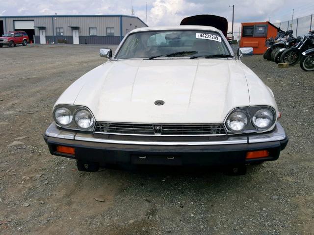 SAJNV5847GC133215 - 1986 JAGUAR XJS WHITE photo 9