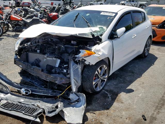 KNAFX5A82G5629440 - 2016 KIA FORTE EX WHITE photo 2