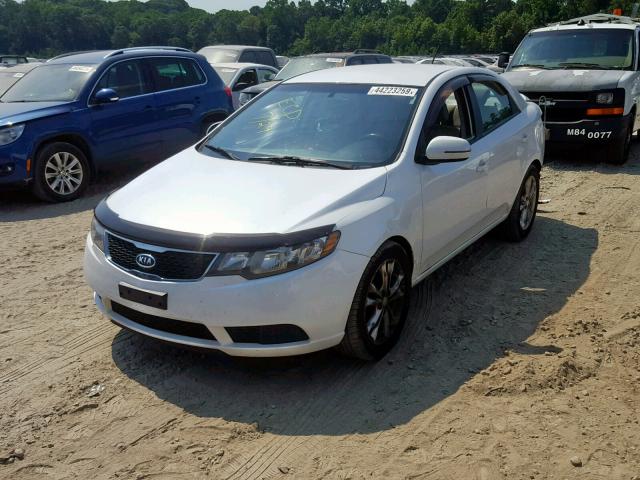 KNAFU4A22C5579535 - 2012 KIA FORTE EX WHITE photo 2