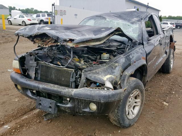 1B7GG22N01S347753 - 2001 DODGE DAKOTA BLACK photo 2