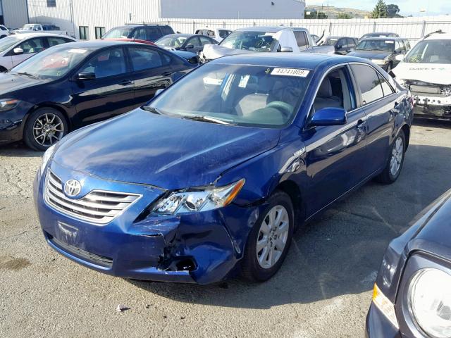 4T1BB46K88U031659 - 2008 TOYOTA CAMRY HYBR BLUE photo 2