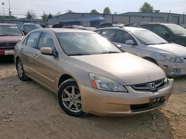 1HGCM66583A082700 - 2003 HONDA ACCORD GOLD photo 1