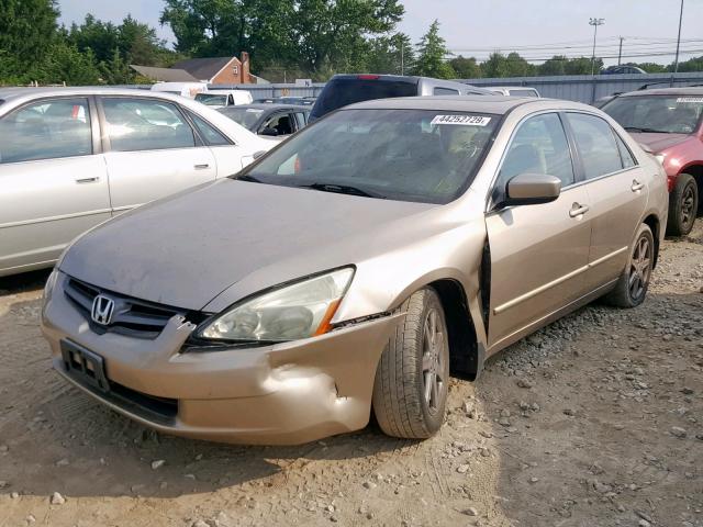 1HGCM66583A082700 - 2003 HONDA ACCORD GOLD photo 2