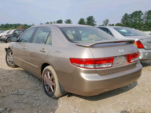 1HGCM66583A082700 - 2003 HONDA ACCORD GOLD photo 3