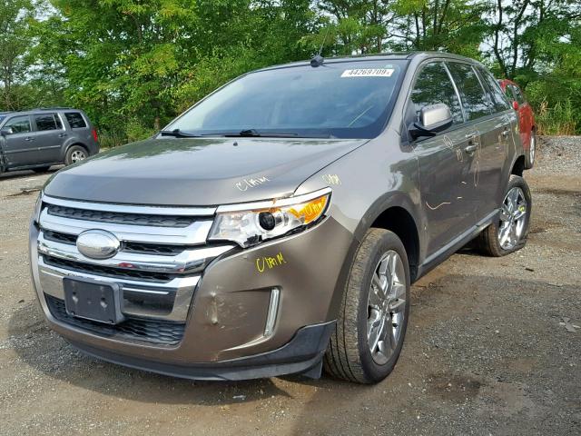 2FMDK3JC5DBA43593 - 2013 FORD EDGE SEL TAN photo 2