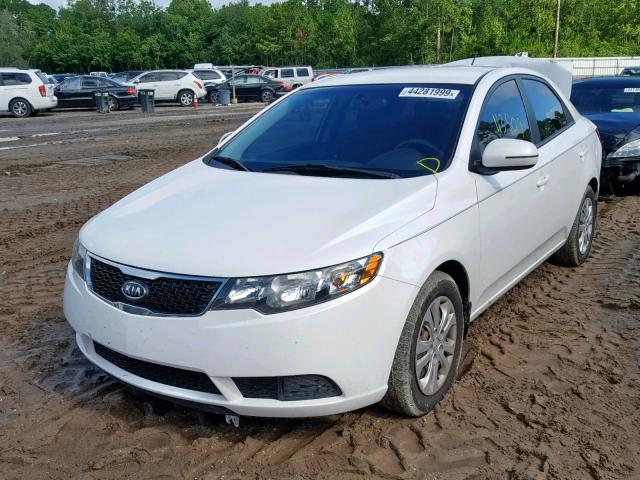 KNAFU4A23B5322186 - 2011 KIA FORTE EX WHITE photo 2