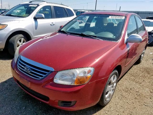 KNAFE122485526224 - 2008 KIA SPECTRA EX RED photo 2