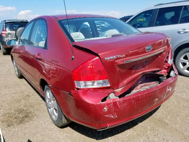 KNAFE122485526224 - 2008 KIA SPECTRA EX RED photo 3