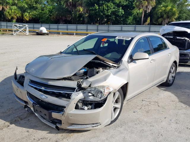 1G1ZC5E11BF255665 - 2011 CHEVROLET MALIBU 1LT GOLD photo 2