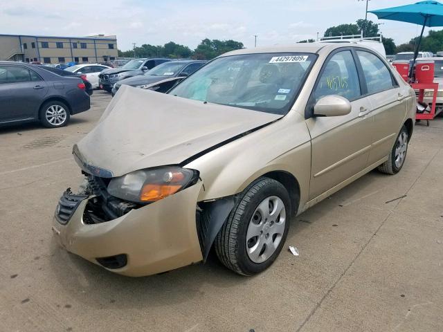 KNAFE221795646291 - 2009 KIA SPECTRA EX GOLD photo 2