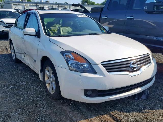 1N4CL21E19C132017 - 2009 NISSAN ALTIMA HYB WHITE photo 1