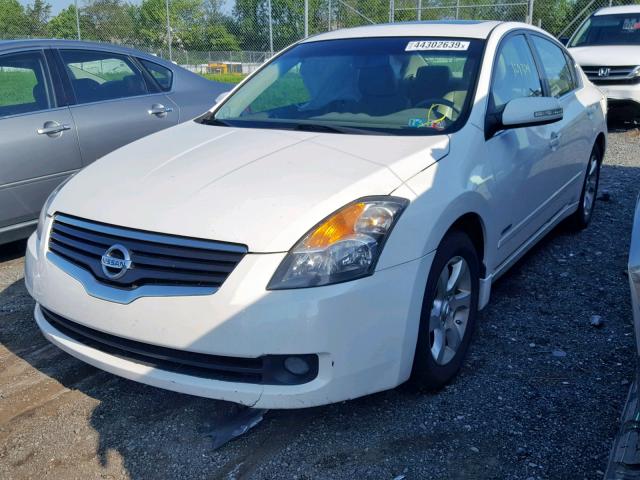 1N4CL21E19C132017 - 2009 NISSAN ALTIMA HYB WHITE photo 2