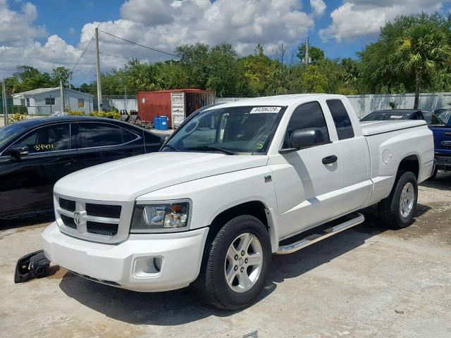 1D7RE3BP5BS695822 - 2011 DODGE DAKOTA SLT WHITE photo 2