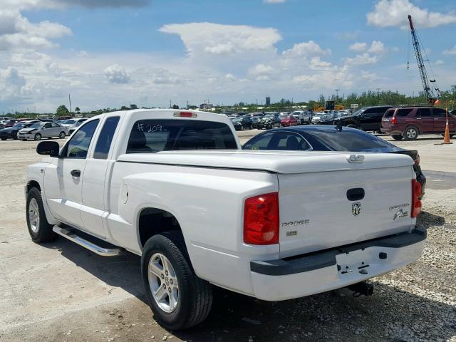 1D7RE3BP5BS695822 - 2011 DODGE DAKOTA SLT WHITE photo 3