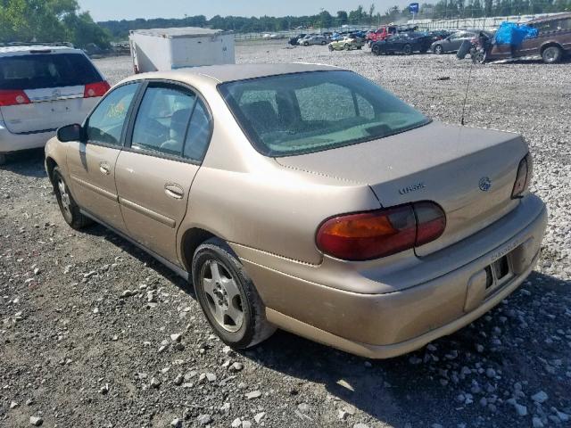 1G1ND52F24M594672 - 2004 CHEVROLET CLASSIC BEIGE photo 3