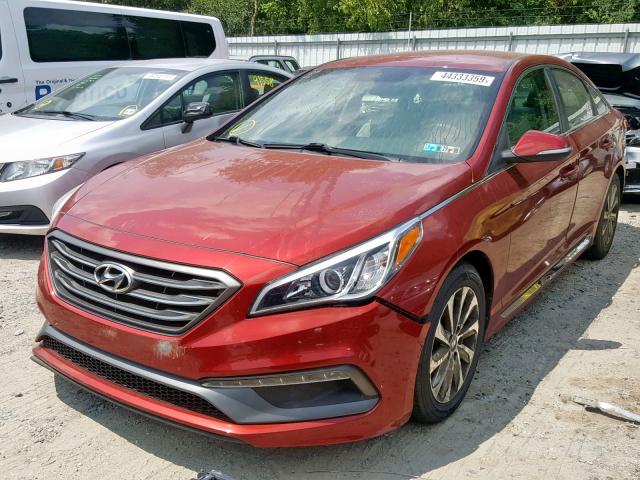 5NPE34AF2FH027008 - 2015 HYUNDAI SONATA SPO RED photo 2