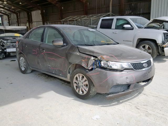 KNAFU4A26D5666596 - 2013 KIA FORTE EX BROWN photo 1