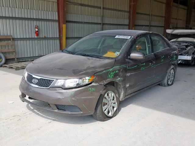 KNAFU4A26D5666596 - 2013 KIA FORTE EX BROWN photo 2