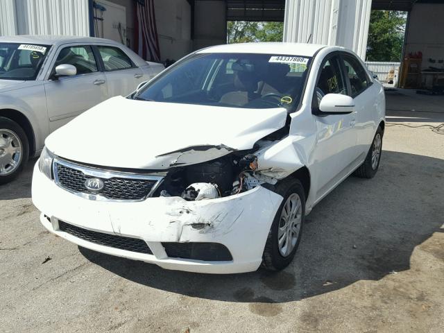 KNAFU4A21B5382516 - 2011 KIA FORTE EX WHITE photo 2