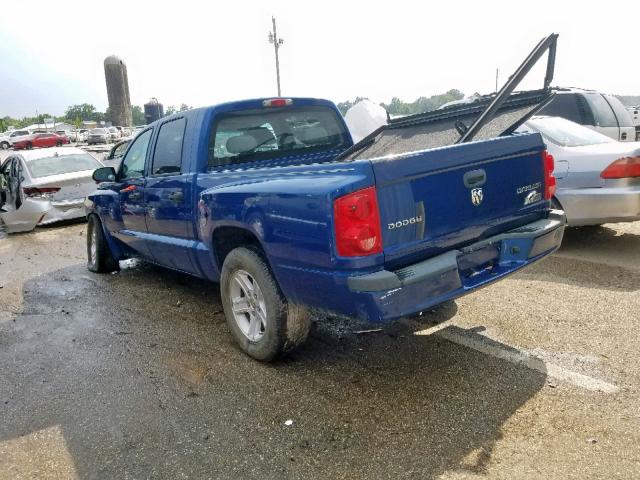 1D7CE3GK0AS217325 - 2010 DODGE DAKOTA SXT BLUE photo 3