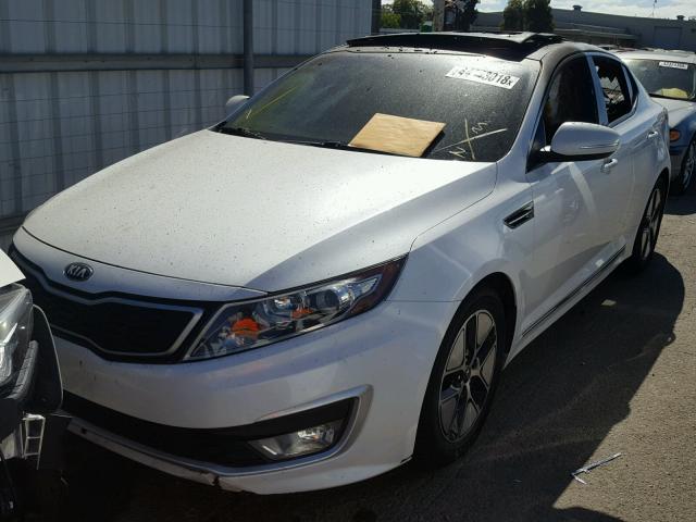 KNAGM4AD2C5031914 - 2012 KIA OPTIMA HYB WHITE photo 2