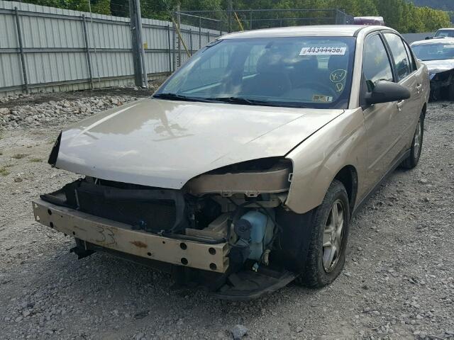 1G1ZT54835F215784 - 2005 CHEVROLET MALIBU LS 金色 照片 2