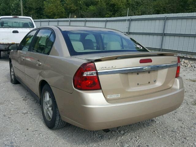 1G1ZT54835F215784 - 2005 CHEVROLET MALIBU LS 金色 照片 3