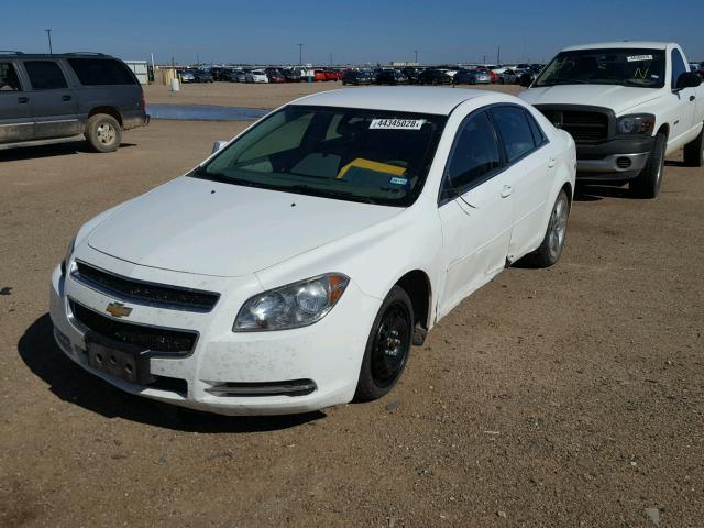 1G1ZC5EB9A4155106 - 2010 CHEVROLET MALIBU 1LT WHITE photo 2
