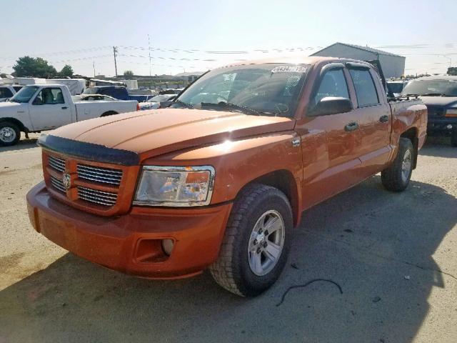 1D7CW3GP4AS166551 - 2010 DODGE DAKOTA SXT ORANGE photo 2