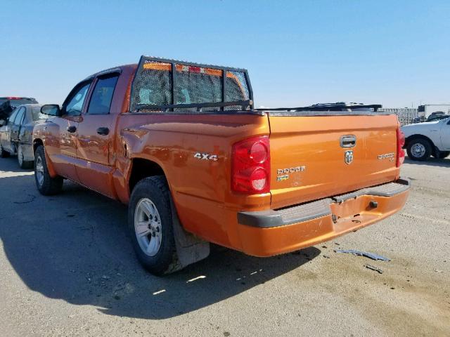 1D7CW3GP4AS166551 - 2010 DODGE DAKOTA SXT ORANGE photo 3