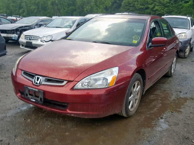 1HGCM66513A087169 - 2003 HONDA ACCORD RED photo 2