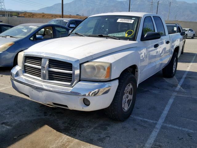 1D7HE48N07S176109 - 2007 DODGE DAKOTA QUA WHITE photo 2