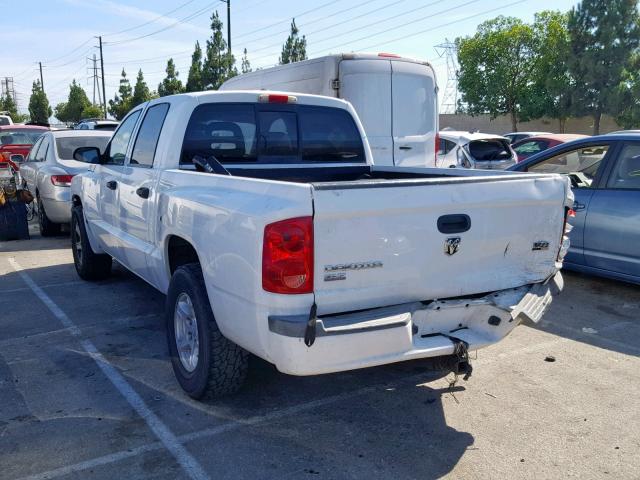 1D7HE48N07S176109 - 2007 DODGE DAKOTA QUA WHITE photo 3