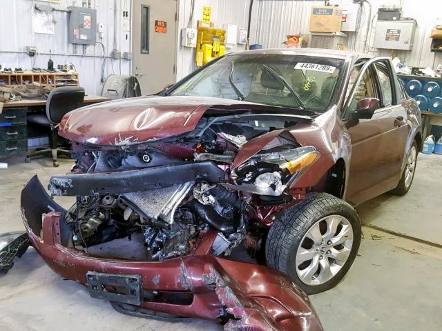 1HGCP26818A098982 - 2008 HONDA ACCORD EXL BURGUNDY photo 2