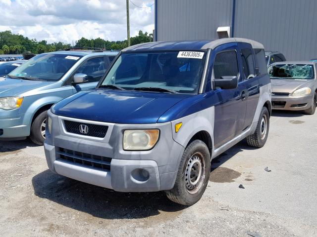 5J6YH17253L010013 - 2003 HONDA ELEMENT DX BLUE photo 2