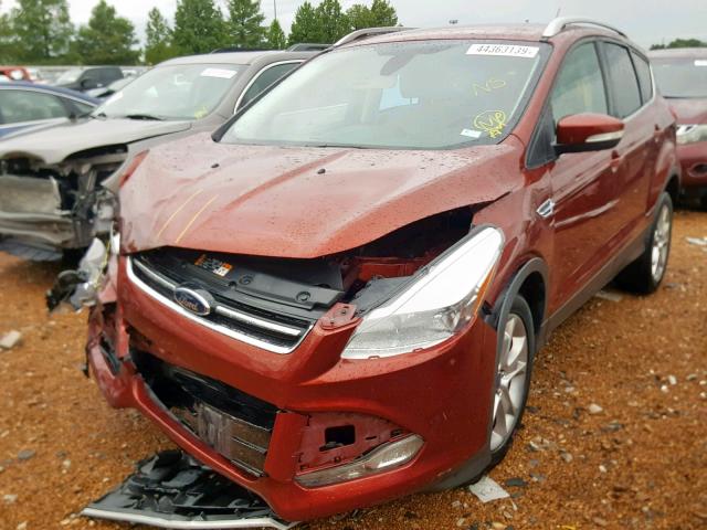 1FMCU0JX9EUD24654 - 2014 FORD ESCAPE TIT RED photo 2