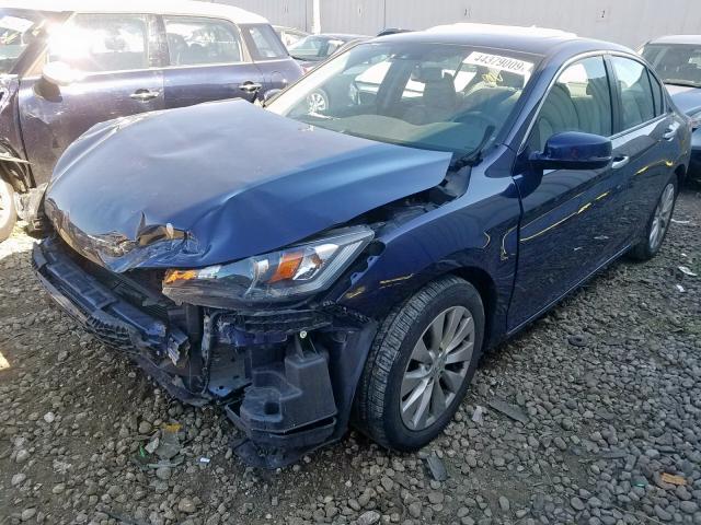 1HGCR2F85FA155935 - 2015 HONDA ACCORD EXL BLUE photo 2