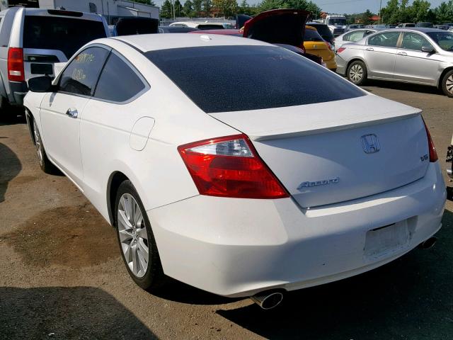 1HGCS22839A012092 - 2009 HONDA ACCORD EXL WHITE photo 3