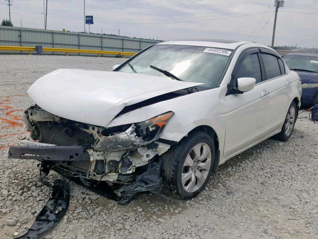 1HGCP36858A040461 - 2008 HONDA ACCORD EXL WHITE photo 2