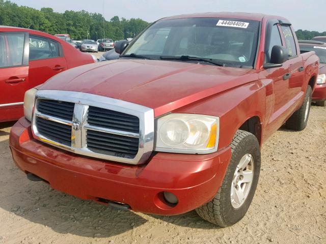 1D7HW48N06S714822 - 2006 DODGE DAKOTA QUA BURGUNDY photo 2