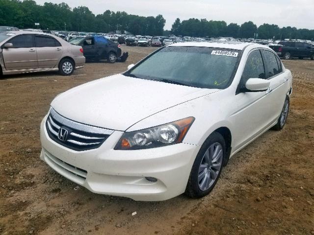 1HGCP3F82BA011524 - 2011 HONDA ACCORD EXL WHITE photo 2