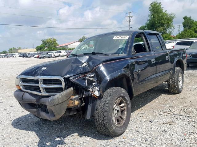 1D7HG38K64S556870 - 2004 DODGE DAKOTA QUA BLACK photo 2