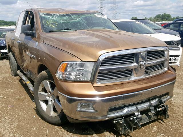 1C6RD7LT8CS241881 - 2012 DODGE RAM 1500 S GOLD photo 1