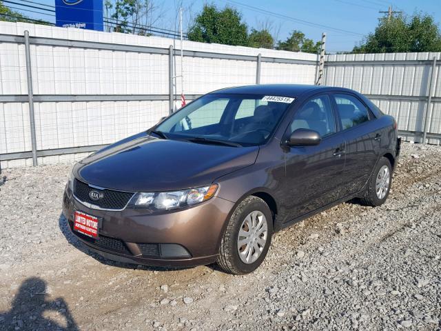 KNAFU4A2XD5655939 - 2013 KIA FORTE EX GREEN photo 2